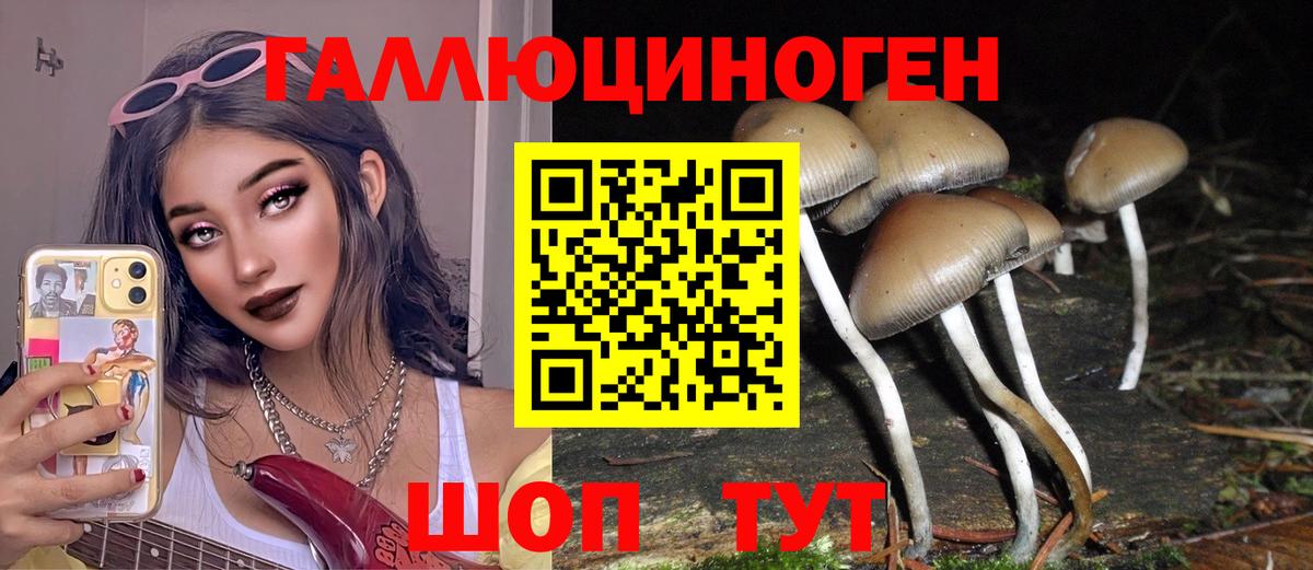 Псилоцибиновые грибы мицелий  Вход с VPN  Хасавюрт 