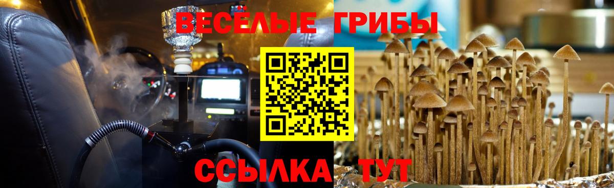 Псилоцибиновые грибы мухоморы Хасавюрт